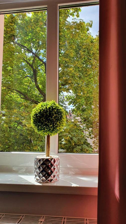 Apartament Przy Starowce - Bella Boleslawiec  Dış mekan fotoğraf